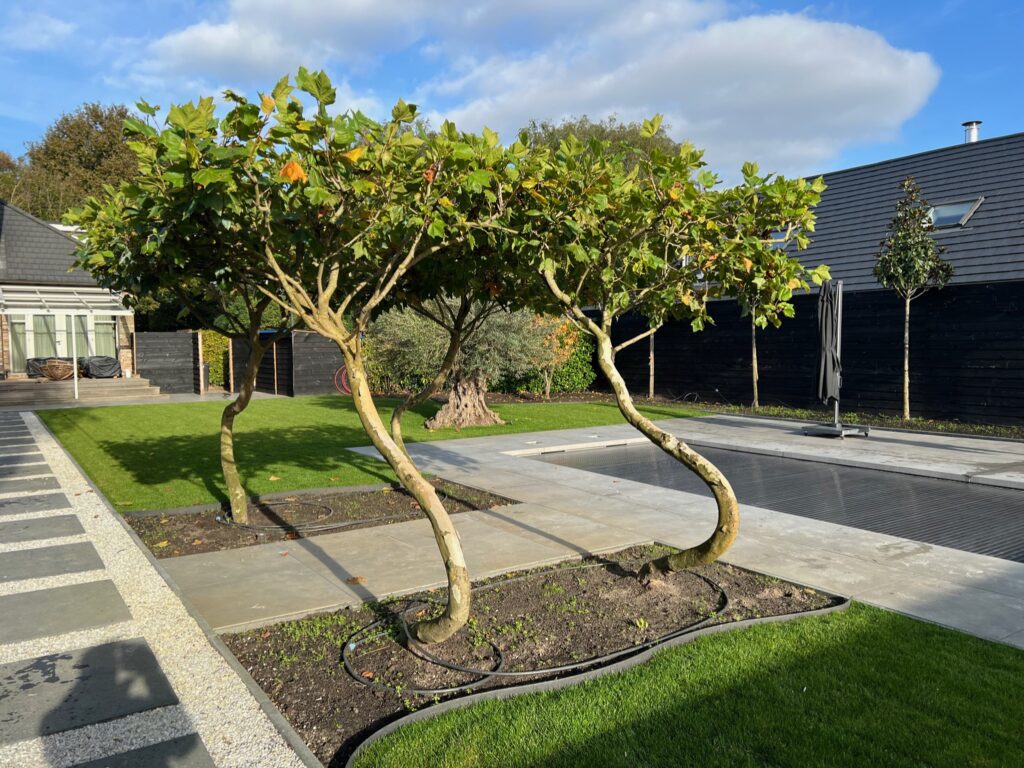 Zwembad realisatie Utrech